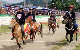 Giải đua ngựa truyền thống Bắc Hà khởi tranh từ ngày 9/6